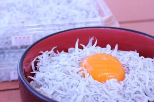 南知多の旬の味「出来立てちりめん」販売します!