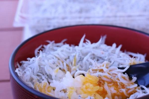 南知多の旬の味「出来立てちりめん」販売します!