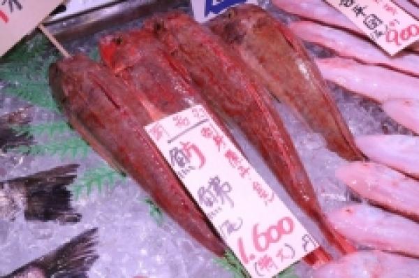 特大ほうぼうがお値打ち!極太です!