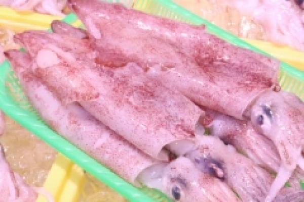 BBQに最高!赤イカがお値打ち!