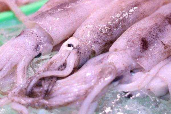 南知多産するめいか!わた入ってます!