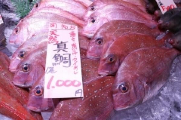 皆さま、おはようございます!