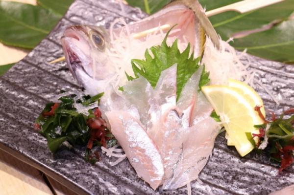 数量限定!美味しい平あじ!