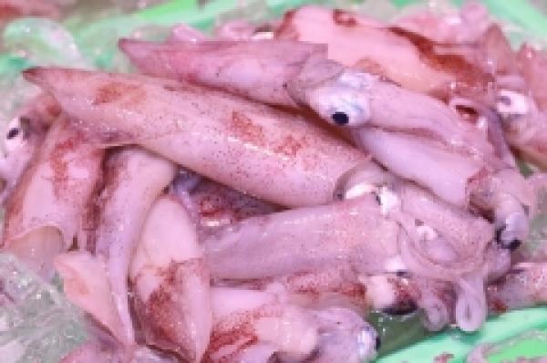 これは旨い!南知多産の赤いか!
