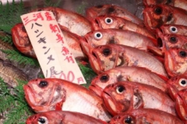 久々の入荷!お刺身用はしきんめ!