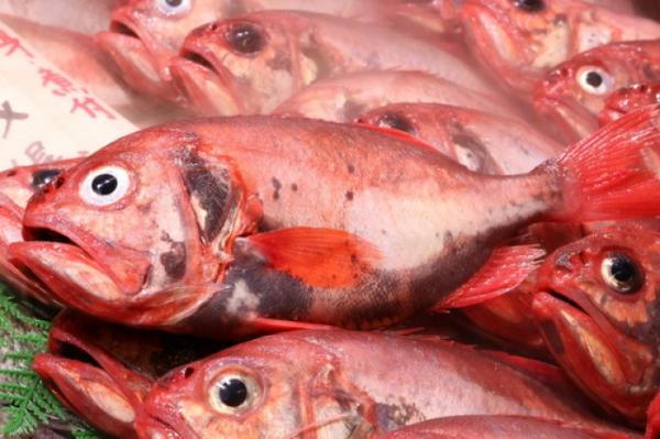 久々の入荷!お刺身用はしきんめ!