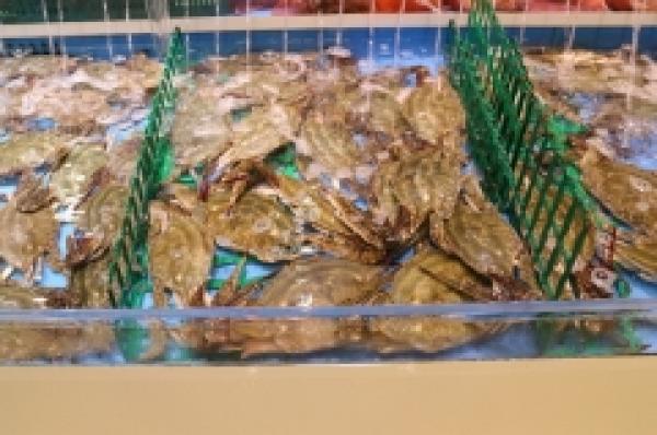 数量限定!知多産/身質抜群の活渡り蟹!