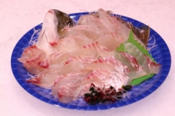 お刺身が旨い!活〆まなじ!