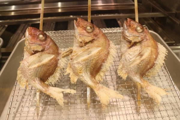 豊漁!真鯛祭り!