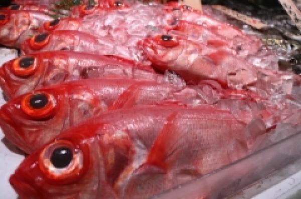 三河湾の金目鯛!