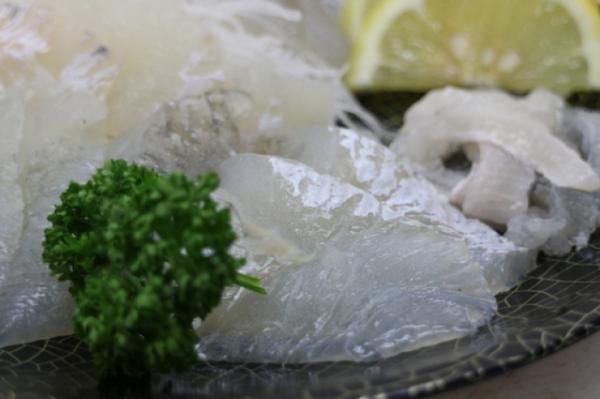 とっても希少!藻ガレイ!