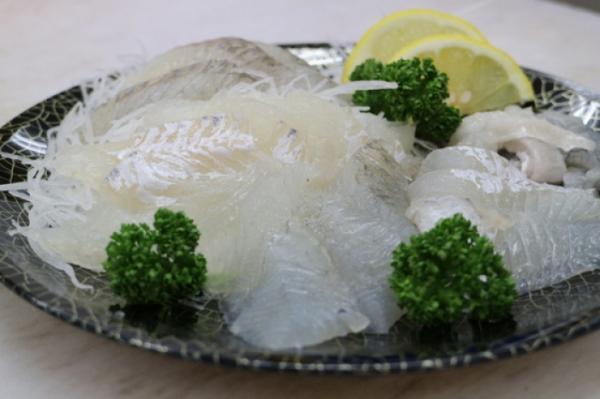 とっても希少!藻ガレイ!