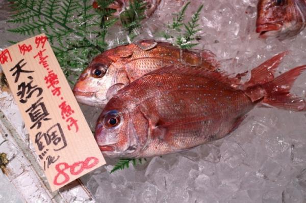 朝〆天然真鯛が旨い!