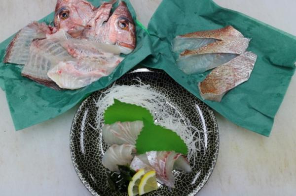 朝〆天然真鯛が旨い!