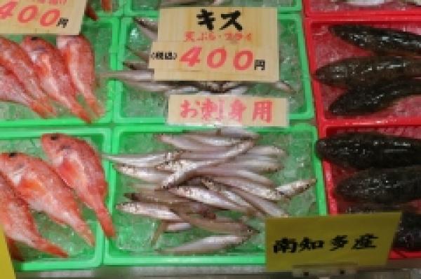 朝獲れの白ギス!