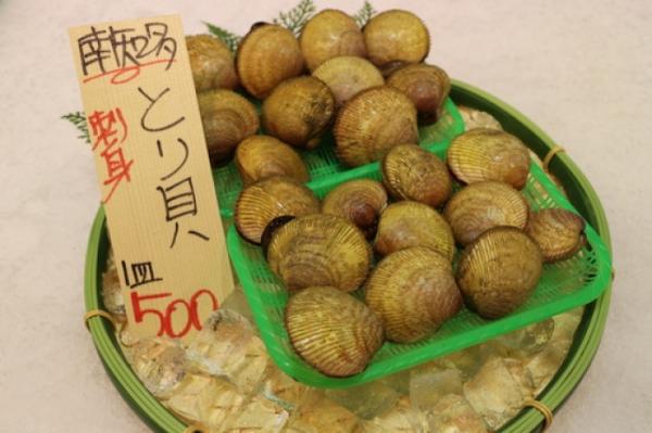 知多の活とり貝&蛤が旨い!