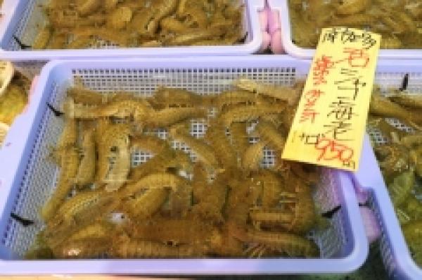 しゃこエビが旨い!桜鯛がお値打ち!