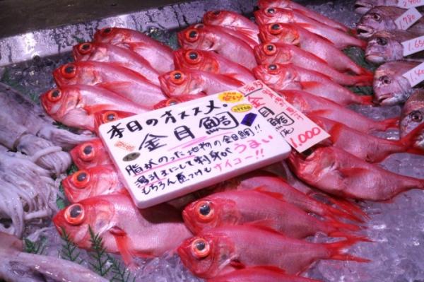 三河湾で豊漁!特大金目鯛!