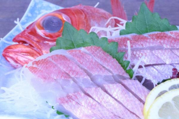 三河湾で豊漁!特大金目鯛!