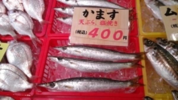 今1番おすすめ魚達はこれだ!