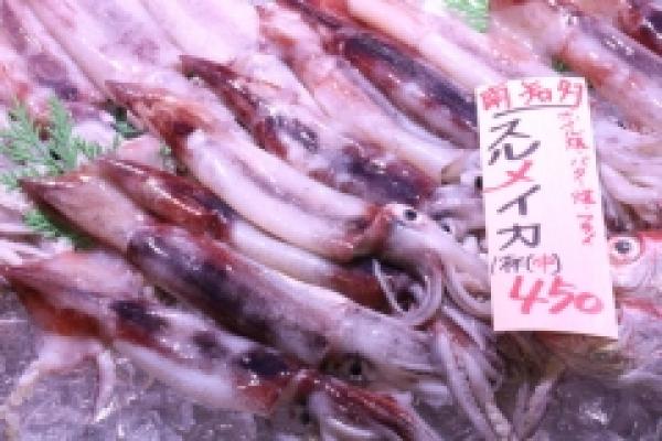 南知多産!するめいか!