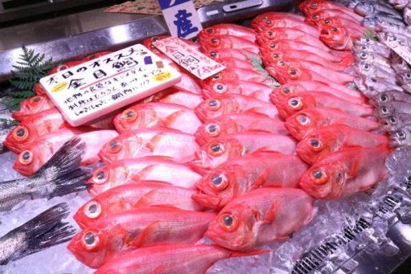 南知多産!特大金目鯛!