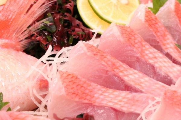 南知多産!特大金目鯛!