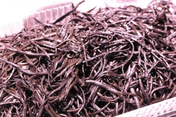 地物新物、生ひじき入荷しました!数量限定!