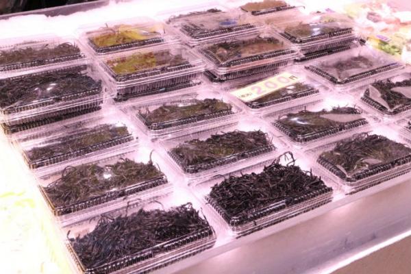 地物新物、生ひじき入荷しました!数量限定!