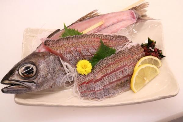 南知多産!脂のり抜群!刺身用クロムツ!