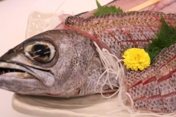 南知多産!脂のり抜群!刺身用クロムツ!