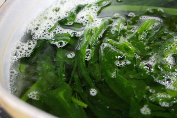 毎日沢山入荷されています!旬の生わかめが旨い!