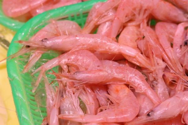 南知多産!刺身用赤海老がお値打ち!