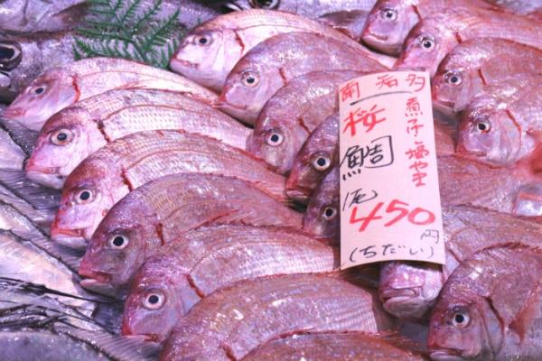 脂のってます!ち鯛が最高に旨い!