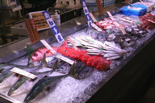 脂のってます!ち鯛が最高に旨い!