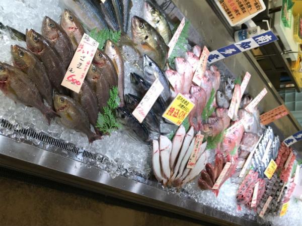 脂のり抜群の天然真鯛がお値打ち!旬です!