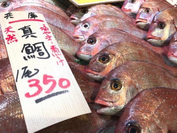 南知多産天然真鯛がお値打ち!身質抜群!