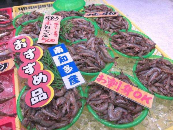 旬のあかしゃ海老!活きたまま入荷!