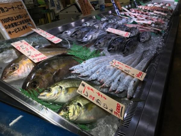 地物ヒイカが旨い!刺身でどうぞ!
