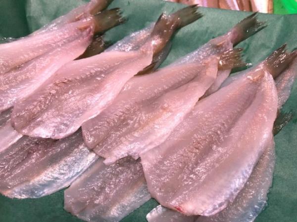 今が旬!白ギスはいかがでしょう?旨い!