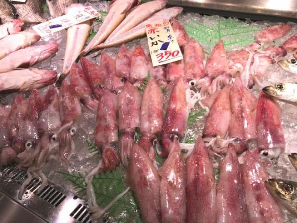 南知多の赤いかが鮮度抜群!旨い!