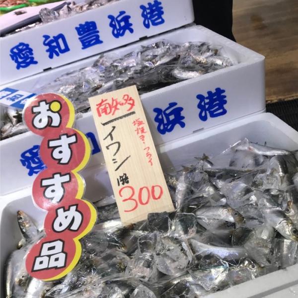 獲れたてピカピカの、鰯(いわし)で~す!!