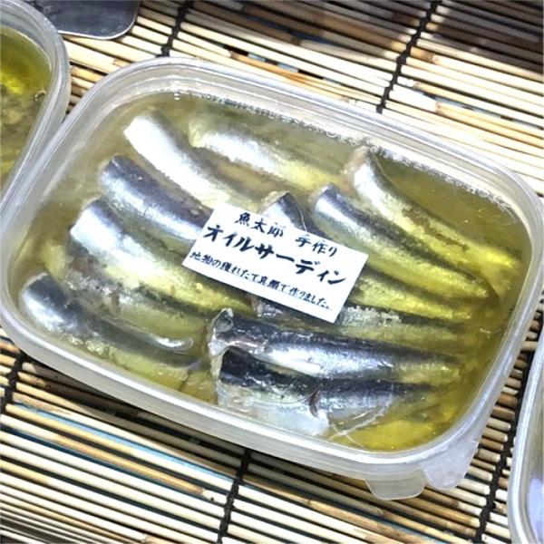 獲れたてピカピカの、鰯(いわし)で~す!!