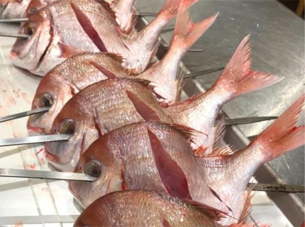 焼いてヨシ! 煮てヨシ! いい形が揚がったもんで。