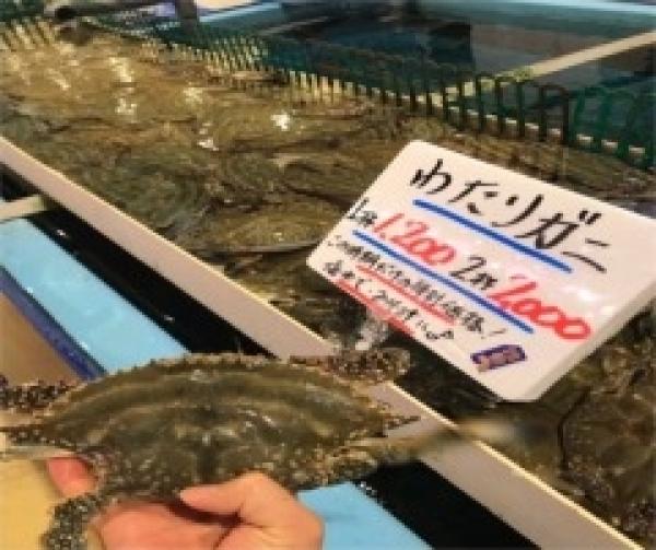 ここのところ『 渡り蟹 』が大漁です!!