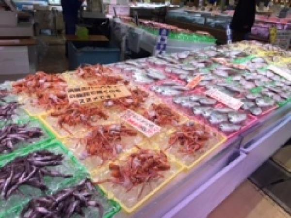 味噌汁に何を入れるか!?