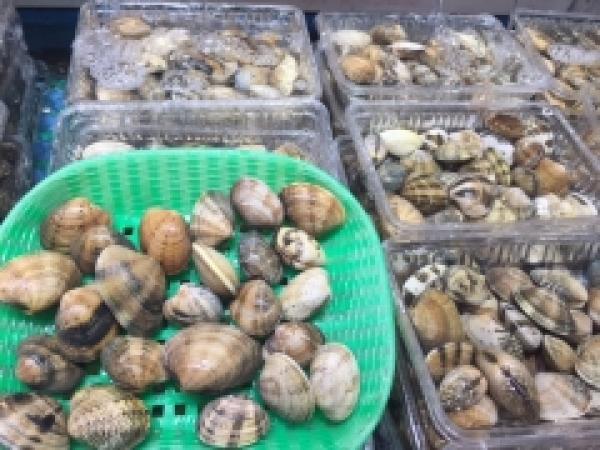 春は貝の旬!三河湾産あさりが最高に旨い!