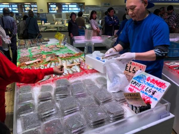 しらす漁ありました!生しらす販売!
