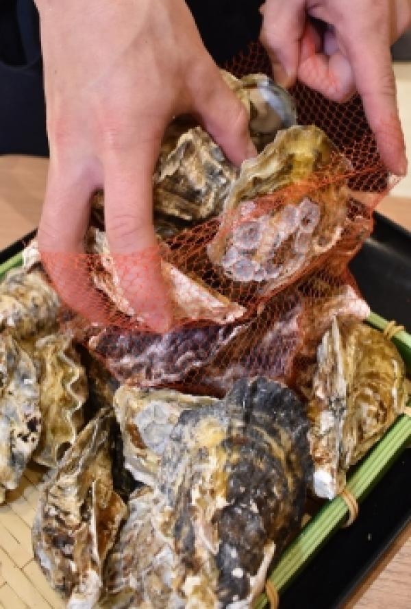 伊勢湾産 浦村牡蠣が終売の為、驚く価格!