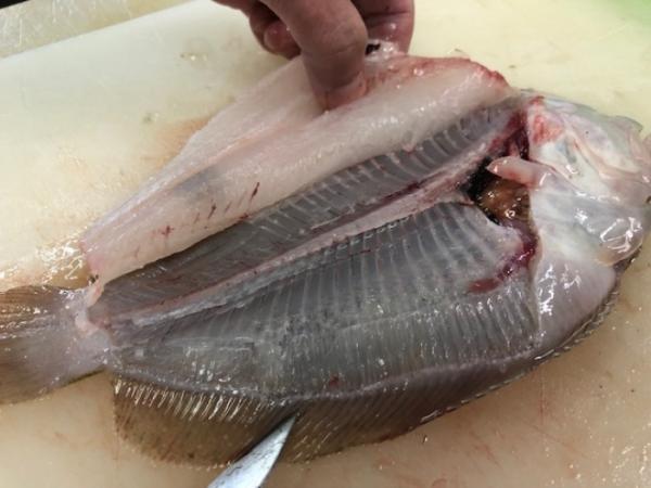 鮮度ピカピカ!バンカレイの刺身をあなどるなかれー。